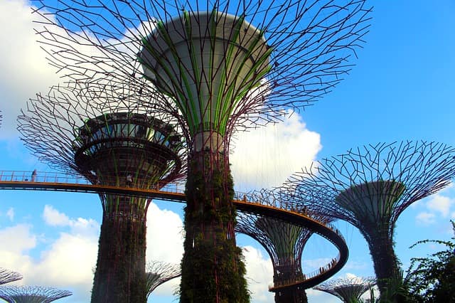 Gardens By The Bay