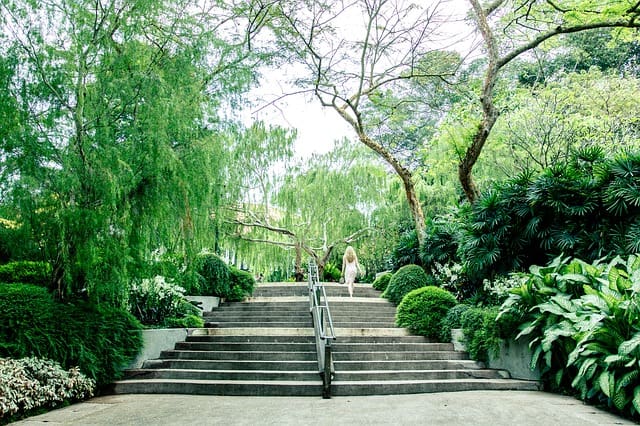 Attend An Open-Air Concert At The Singapore Botanical Gardens