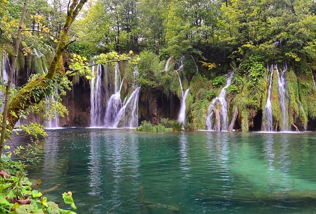 Tahiti Waterfall Hikes