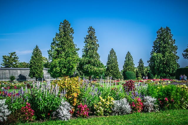 Botanical Garden Pondicherry