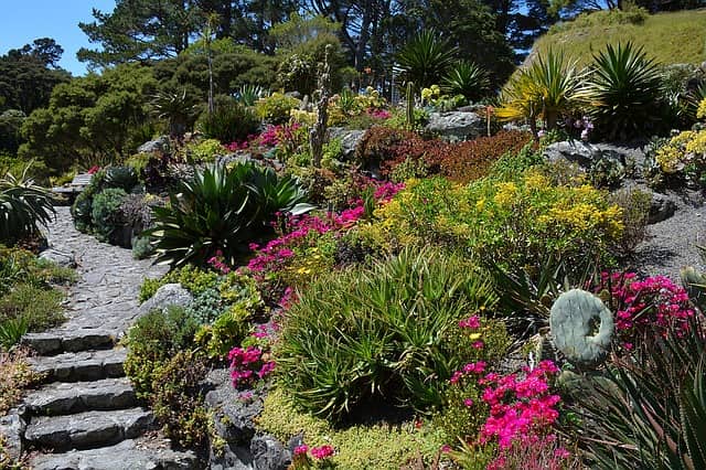 Fairchild Botanical Gardens Miami