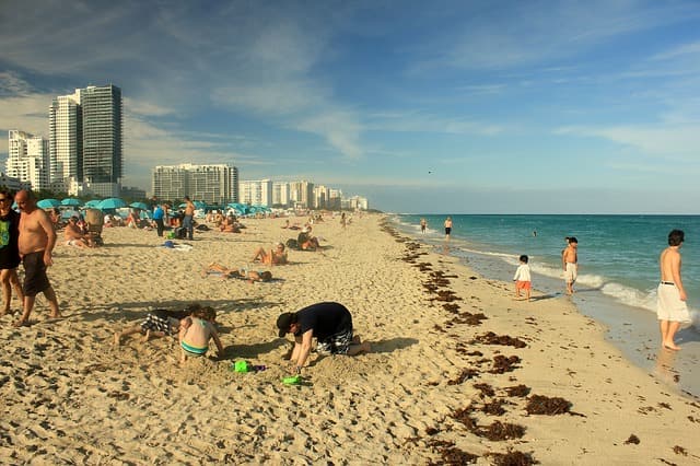 Sunbathing On The Miami Beach Florida