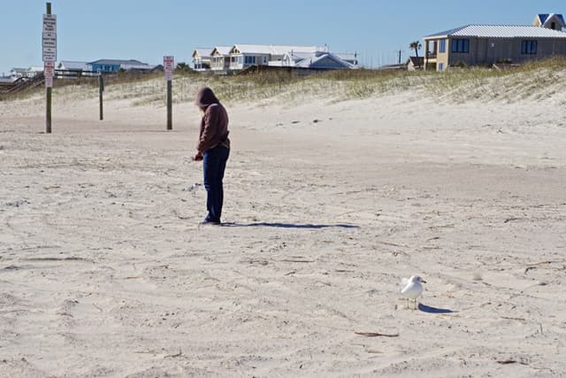 Main Beach Park Fernandina Beach FL