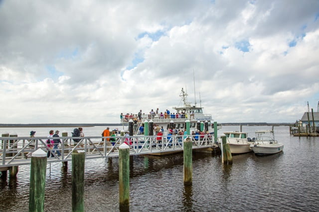 Cumberland Island Florida