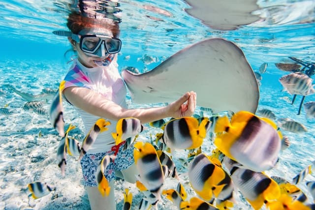 Huahine Snorkel Tour