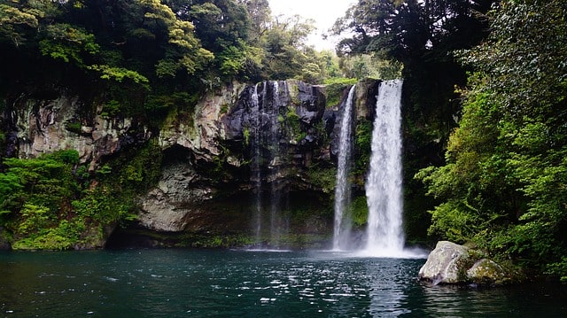 Atherton Tablelands Day Trip