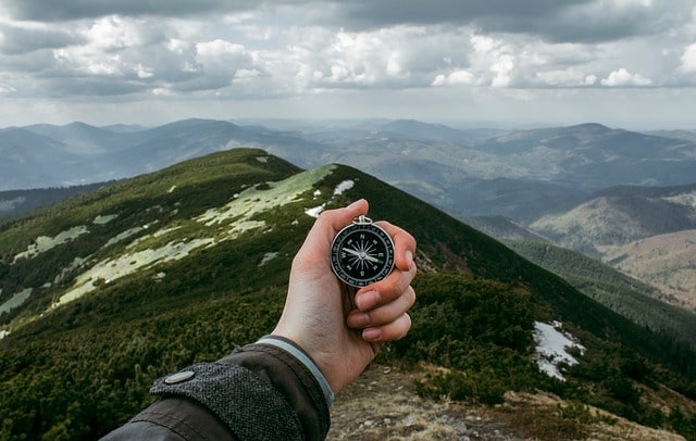 Magnetic Compass