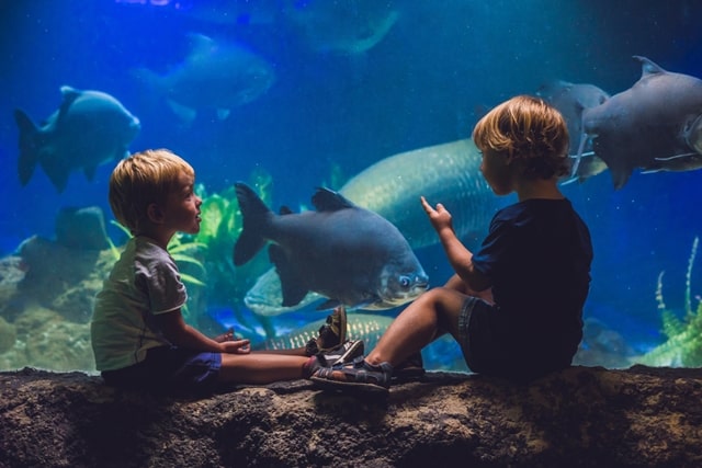 Waikiki Aquarium