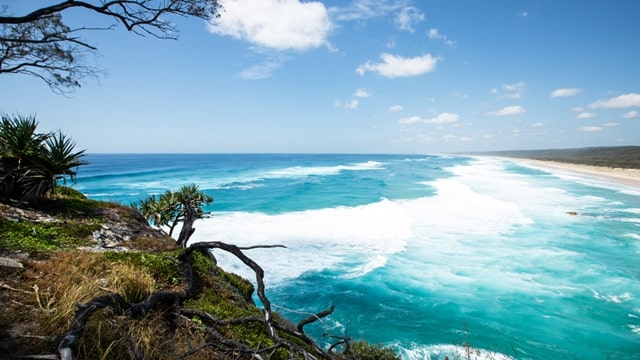 Stroll On The King Island Brisbane