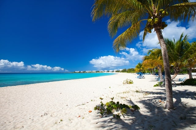 Palm Cove Beach Cairns