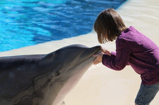 Dubai Dolphinarium