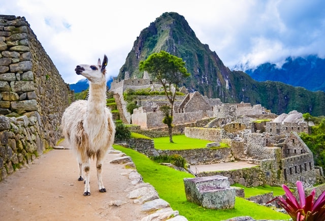 What Was The Purpose Of Building Machu Picchu?