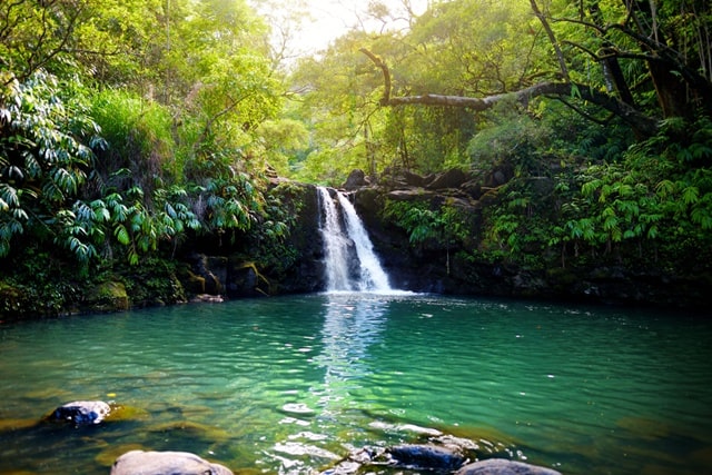 Maui Waterfall Tours