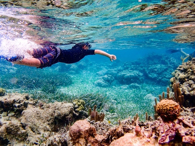 Ambergris Caye Snorkeling Tours And Scuba Diving