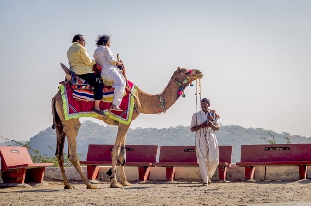 Things To Do During The Rann Of Kutch Festival