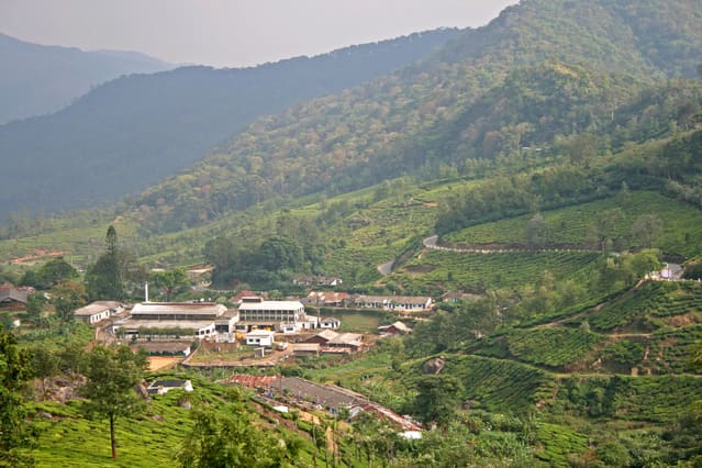  Amarkantak Hill Station Madhya Pradesh