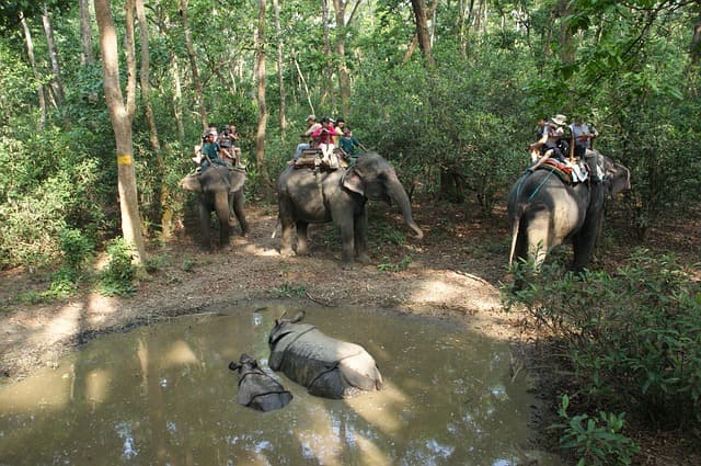 Chitwan National Park Nepal Tourist Spot