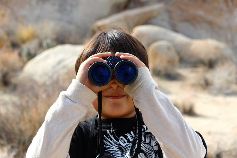 Go Bird Watching At The River Chambal