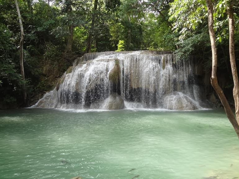 Medicinal Springs