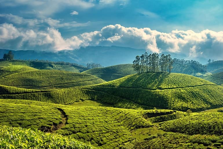 Munnar