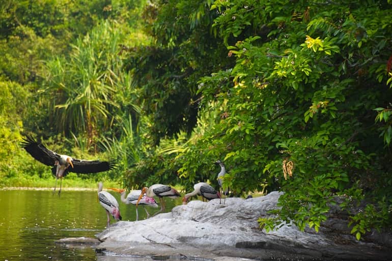 Best Place In Nepal Tourism To Visit With Your Family And Friends Bardia National Park